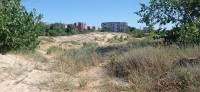 20240619_165250.jpg 20240619_165250.jpg