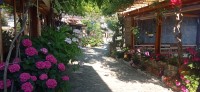 20240620_082836.jpg 20240620_082836.jpg