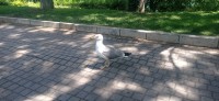 20240622_141216.jpg 20240622_141216.jpg