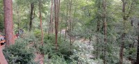 20240702_105718.jpg 20240702_105718.jpg