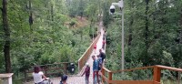 20240702_105747.jpg 20240702_105747.jpg