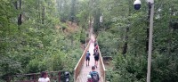 20240702_105752.jpg 20240702_105752.jpg