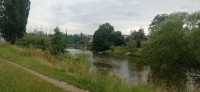 20240702_171704.jpg 20240702_171704.jpg