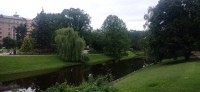 20240704_100214.jpg 20240704_100214.jpg