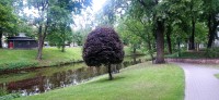 20240704_101303.jpg 20240704_101303.jpg
