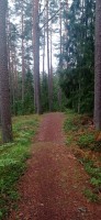 20240705_101037.jpg 20240705_101037.jpg