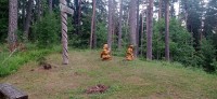 20240705_101821.jpg 20240705_101821.jpg