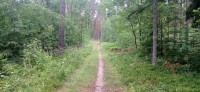 20240705_102128.jpg 20240705_102128.jpg