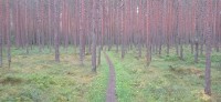 20240705_103049.jpg 20240705_103049.jpg