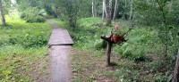 20240705_103507.jpg 20240705_103507.jpg