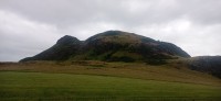 20240711_172800.jpg 20240711_172800.jpg