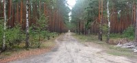 20240809_121959.jpg 20240809_121959.jpg