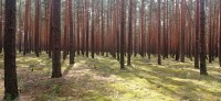 20240809_124639.jpg 20240809_124639.jpg