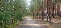 20240809_130814.jpg 20240809_130814.jpg