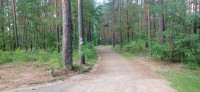 20240810_105346.jpg 20240810_105346.jpg