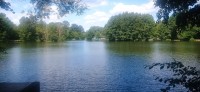 20240810_120157.jpg 20240810_120157.jpg
