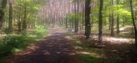 20240810_123918.jpg 20240810_123918.jpg