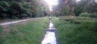 20240810_190331.jpg 20240810_190331.jpg