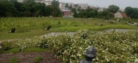 20240811_103833.jpg 20240811_103833.jpg
