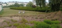 20240811_103923.jpg 20240811_103923.jpg