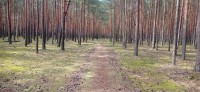 20240811_120329.jpg 20240811_120329.jpg