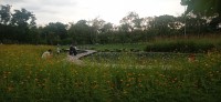 20240826_170025.jpg 20240826_170025.jpg