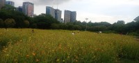 20240826_170158.jpg 20240826_170158.jpg