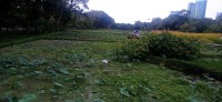 20240826_170316.jpg 20240826_170316.jpg