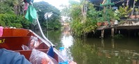 20240827_162535.jpg 20240827_162535.jpg