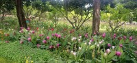 20240828_110704.jpg 20240828_110704.jpg