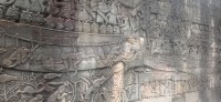 20240824_100525.jpg 20240824_100525.jpg