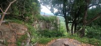 20240825_100315.jpg 20240825_100315.jpg