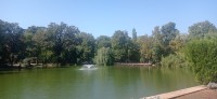 20240927_133346.jpg 20240927_133346.jpg