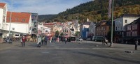 20241004_125338.jpg 20241004_125338.jpg