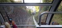 20241004_130215.jpg 20241004_130215.jpg