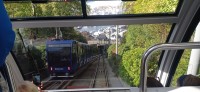 20241004_130344.jpg 20241004_130344.jpg