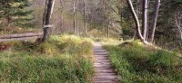 20241004_132814.jpg 20241004_132814.jpg