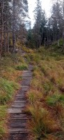20241004_133429.jpg 20241004_133429.jpg