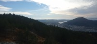 20241004_133959.jpg 20241004_133959.jpg
