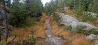 20241004_134236.jpg 20241004_134236.jpg