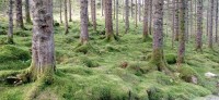 20241004_140138.jpg 20241004_140138.jpg