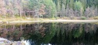 20241004_140445.jpg 20241004_140445.jpg