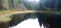 20241004_140553.jpg 20241004_140553.jpg