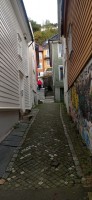 20241004_154241.jpg 20241004_154241.jpg