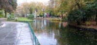20241005_105804.jpg 20241005_105804.jpg