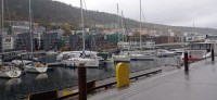 20241005_110241.jpg 20241005_110241.jpg