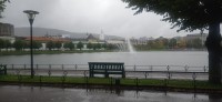 20241005_125635.jpg 20241005_125635.jpg