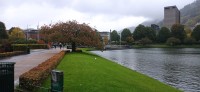 20241005_173946.jpg 20241005_173946.jpg