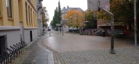 20241006_094453.jpg 20241006_094453.jpg
