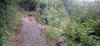 20241023_101358.jpg 20241023_101358.jpg